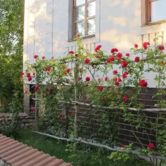Гостиница Kalendia вид на фасад фото 2