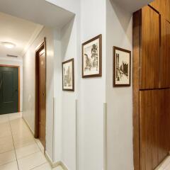 Alius Hotel интерьер отеля фото 2