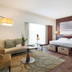 Отель Park Hyatt Zurich 5* Полулюкс Park с различными типами кроватей фото 3
