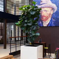 Отель Gr8 Hotel Amsterdam Riverside Нидерланды, Амстердам - 11 отзывов об отеле, цены и фото номеров - забронировать отель Gr8 Hotel Amsterdam Riverside онлайн интерьер отеля фото 7