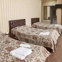 Гостиница Iseberg Hotel Complex в Буденновске отзывы, цены и фото номеров - забронировать гостиницу Iseberg Hotel Complex онлайн Буденновск комната для гостей фото 6