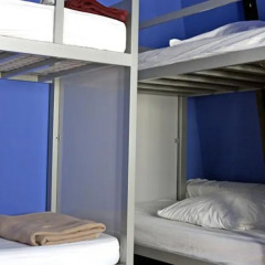 The White Tulip Hostel детские мероприятия