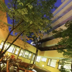 Отель Magnolia Wellness & Thermae Hotel Италия, Абано-Терме - отзывы, цены и фото номеров - забронировать отель Magnolia Wellness & Thermae Hotel онлайн бассейн фото 5