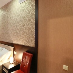 Elysium Hotel 3* Номер Комфорт с разными типами кроватей фото 19