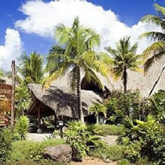 Отель Bora Bora Beach Resort фото 3