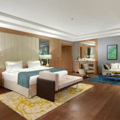 Regnum Carya Golf & Spa Resort 5* Вилла Делюкс с различными типами кроватей фото 5