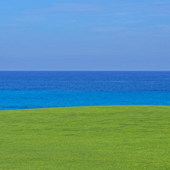 Отель Melia Las Americas спортивное сооружение фото 3