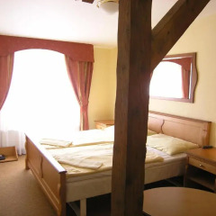 Отель Pension Brezina Prague 3* Номер Делюкс фото 6