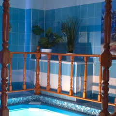 Гостиница Guest House Barin бассейн