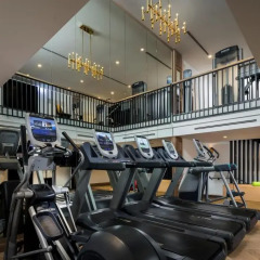 Отель Hilton Vienna Plaza Вена фитнесс-зал