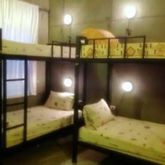 Отель Win Backpacker Hostel Таиланд, Пхукет - отзывы, цены и фото номеров - забронировать отель Win Backpacker Hostel онлайн комната для гостей фото 6