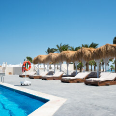 Отель Meraki Resort (Adults Only) с домашними животными фото 3