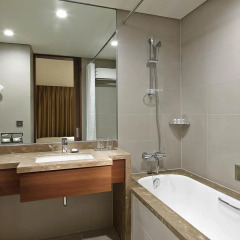 Lotte City Hotel Myeongdong 4* Номер Делюкс с различными типами кроватей фото 4