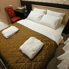 Elysium Hotel 3* Стандартный номер с разными типами кроватей фото 2