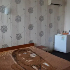 Гостиница Guest House Alina Бердянск удобства в номере фото 2