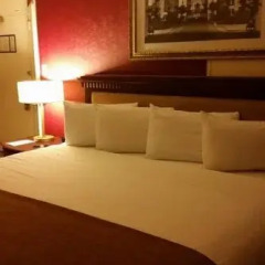 The Roosevelt Hotel, New York City 4* Номер категории Премиум с различными типами кроватей