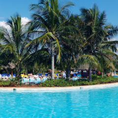 Отель Iberostar Paraiso Beach All Inclusive бассейн фото 2