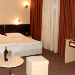 Hotel Rodina Банско комната для гостей фото 4