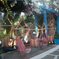Palm Bay Hotel детские мероприятия фото 3