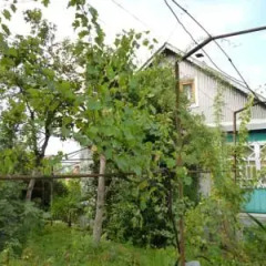 Гостиница Guest House Sea Breeze балкон