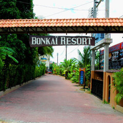 Отель Bonkai Resort Таиланд, Паттайя - 1 отзыв об отеле, цены и фото номеров - забронировать отель Bonkai Resort онлайн фото 11