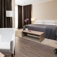 Adler Hotel&Spa 4* Представительские апартаменты