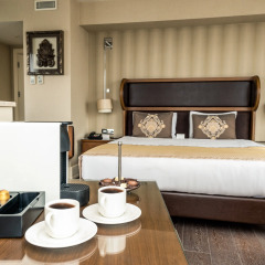 Отель Titanic Business Golden Horn 5* Представительский номер с различными типами кроватей фото 4