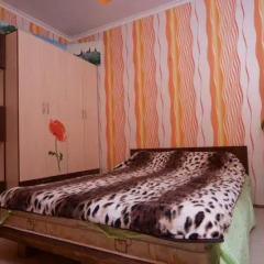 Bilya Richky Hotel комната для гостей фото 7
