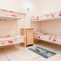 Hostel Happy Lanzheron детские мероприятия фото 6