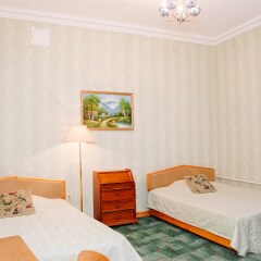 Гостиница Парк Львиный мостик 3* Стандартный номер с 2 отдельными кроватями