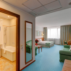Отель Бородино 4* Номер Бизнес