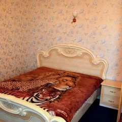 Гостиница Guest House Alina Бердянск комната для гостей фото 4