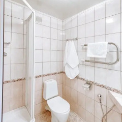 Гостиница Полюстрово 3* Полулюкс с разными типами кроватей фото 8