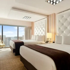 Flamingo Las Vegas - Hotel & Casino 3* Представительский номер с 2 отдельными кроватями