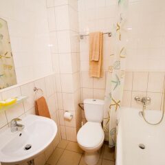 Дружба гостиница и ресторан 3* Номер категории Эконом фото 4