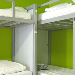 The White Tulip Hostel комната для гостей