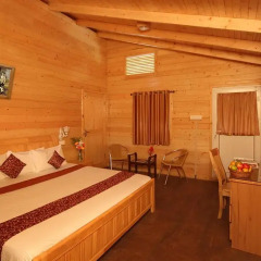 Отель Ala Goa Resort Индия, Гоа - 1 отзыв об отеле, цены и фото номеров - забронировать отель Ala Goa Resort онлайн комната для гостей фото 6