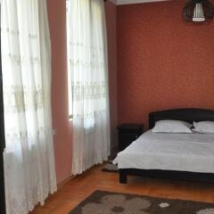 Narikala Palace Hotel комната для гостей фото 5