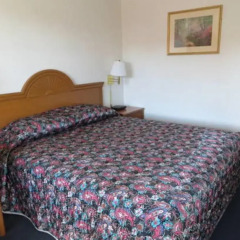 Отель Skyline Motel США, Лас-Вегас - отзывы, цены и фото номеров - забронировать отель Skyline Motel онлайн комната для гостей фото 3