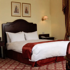Steigenberger Cecil Alexandria Hotel комната для гостей фото 2