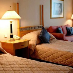 International Hotel (Ташкент) удобства в номере фото 7