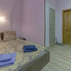 Гостиница Домашний 3* Номер Делюкс с разными типами кроватей фото 2