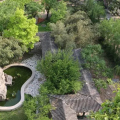 Отель Chongqing Hotel Китай, Пекин - отзывы, цены и фото номеров - забронировать отель Chongqing Hotel онлайн фото 2