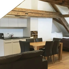 Отель Aparthotel Splendid in Zürich комната для гостей фото 11