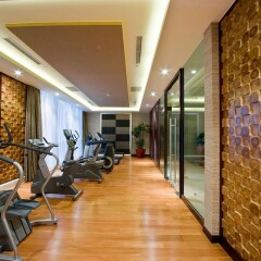 Отель DoubleTree by Hilton Shanghai Jing'an Китай, Шанхай - отзывы, цены и фото номеров - забронировать отель DoubleTree by Hilton Shanghai Jing'an онлайн фитнесс-зал