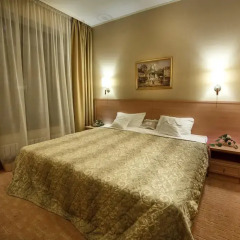 Парк-Отель Европа 4* Стандартный номер с различными типами кроватей фото 2