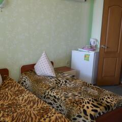 Гостиница Guest House Alina Бердянск удобства в номере фото 5