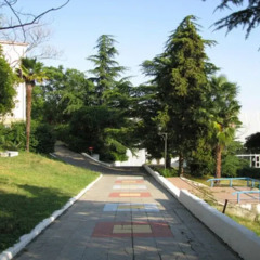 Гостиница Resort Avrora