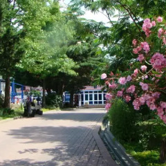 Гостиница Tashir