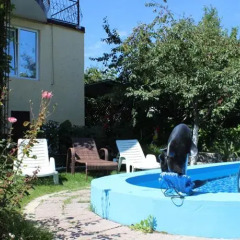 Гостиница Guest House Antarius детские мероприятия фото 2